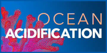 Ocean Acidification | The Devastating Ripple Effect of a pH Change